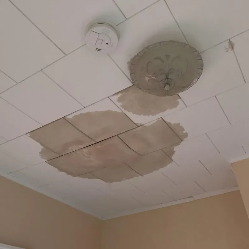 Ceiling Water Damage Repair in Columbia City, IN