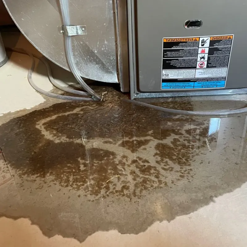Pipe Burst and Leak Restoration in Columbia City, IN